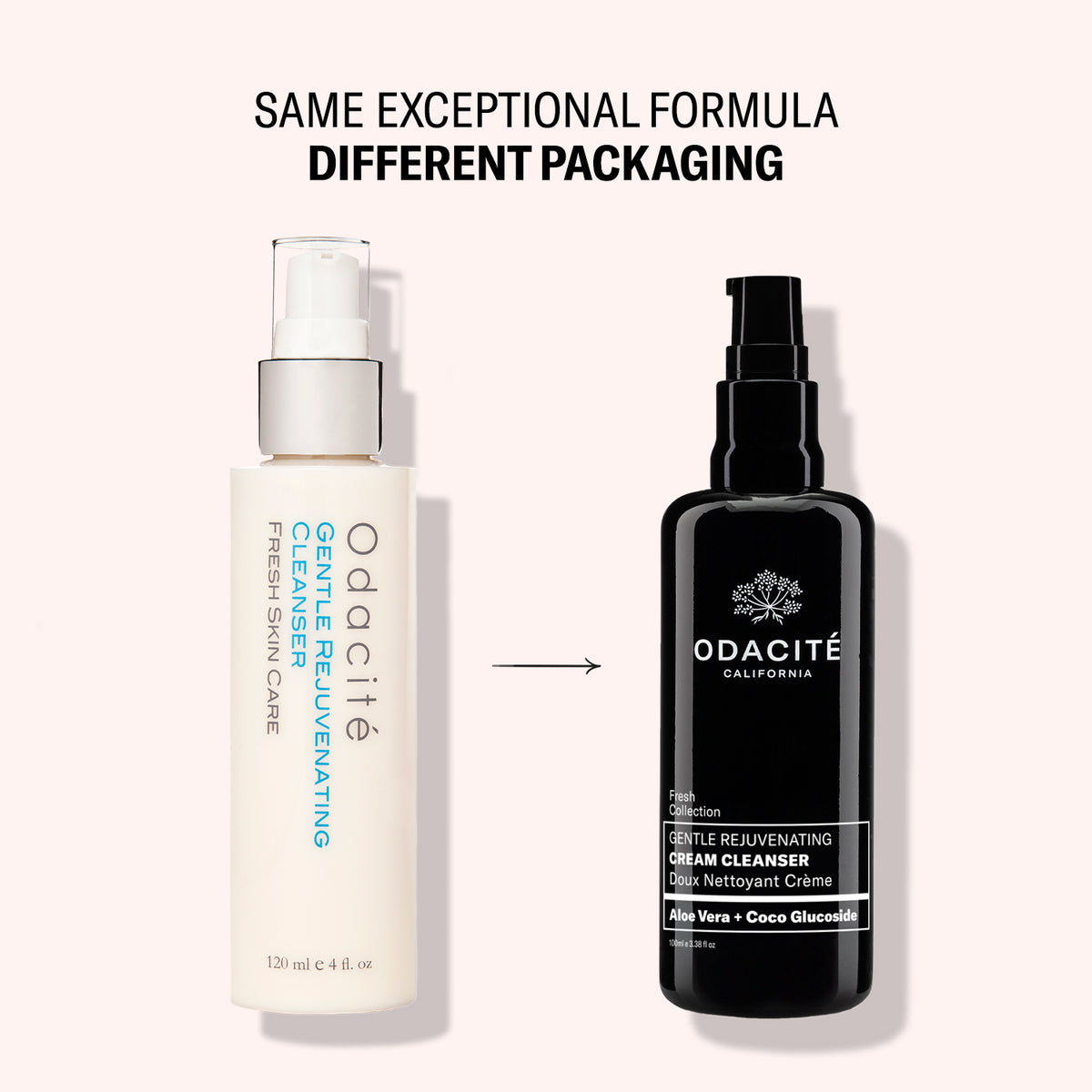 Cream Cleanser Gentle Rejuvenating | Aloe Vera + Coco Glucoside