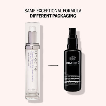 Night Time Antioxidants • Rejuvenating Cream • MSM + Hyaluronic Acid