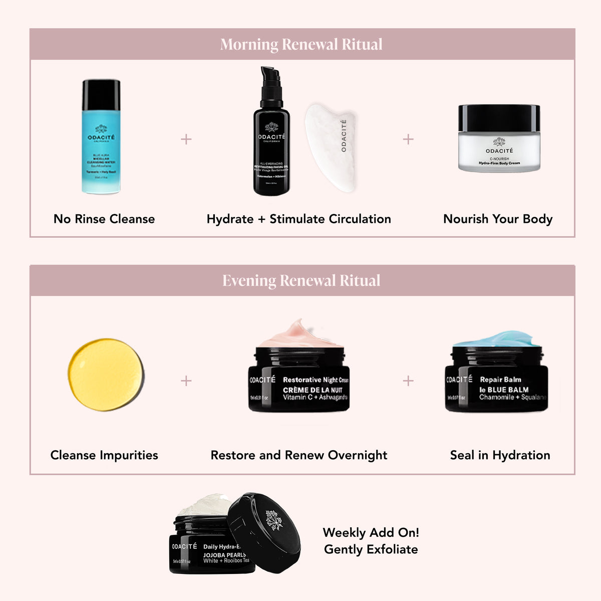 Winter Renewal Ritual Skincare Set | Limited Edition | Odacité