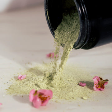 Green Ceremony Cleanser • Chlorophyll + Spirulina • Matcha Powder Cleanser