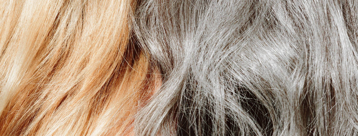 What is Skin-ification? – Odacité