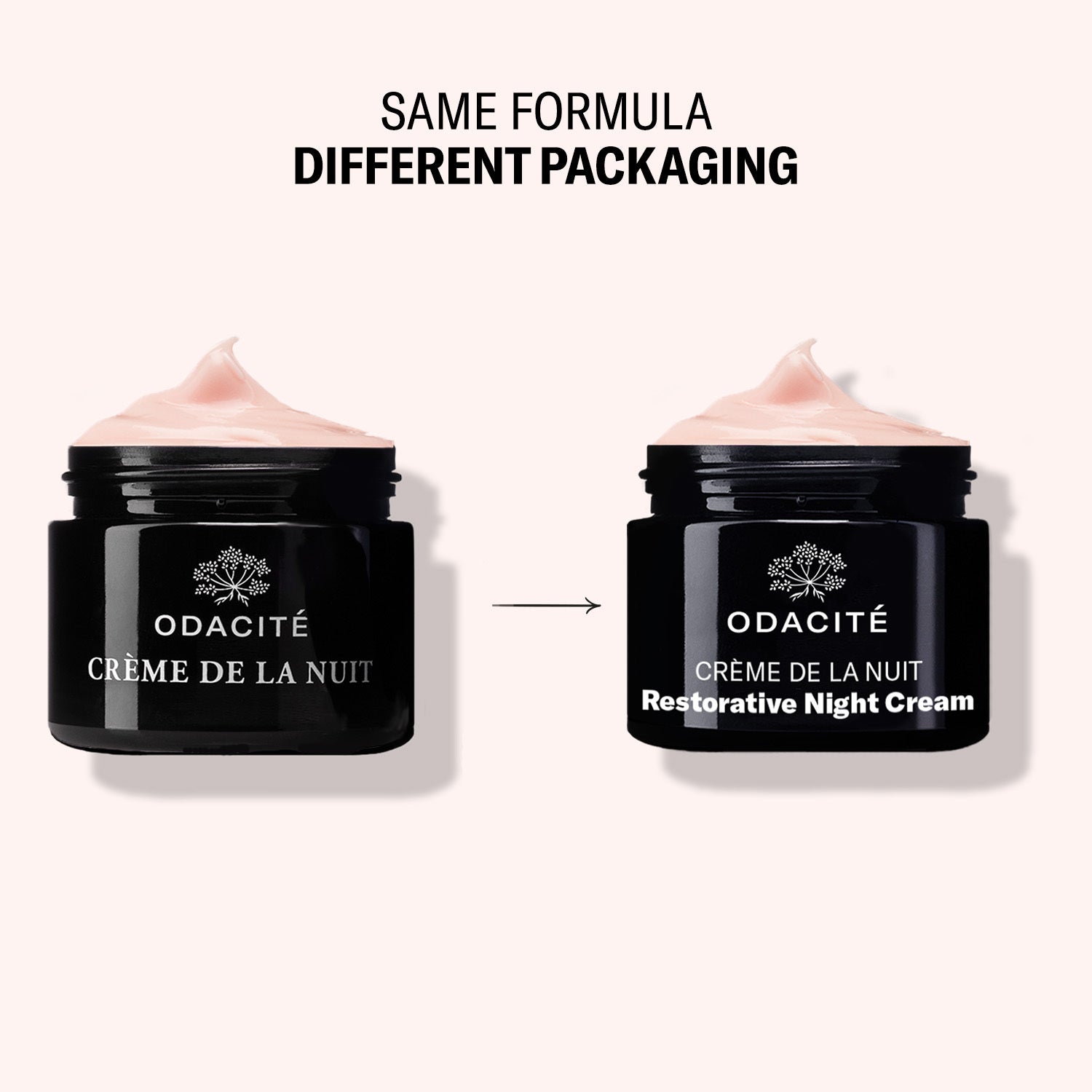 Crème de la Nuit Night Cream | Vitamin C + Ashwagandha | Odacité