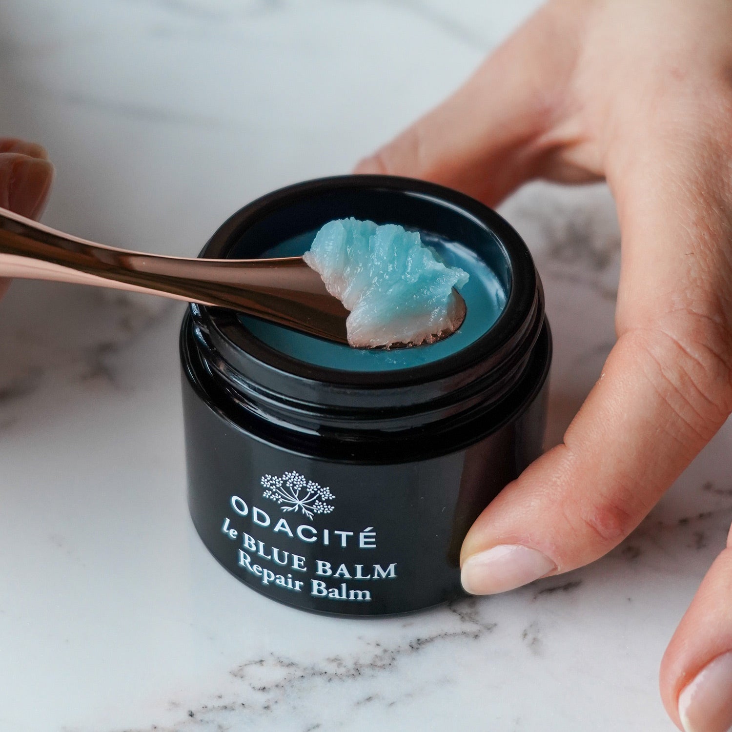 Le Blue Balm Repair Balm | Blue Chamomile + Shea | Odacité